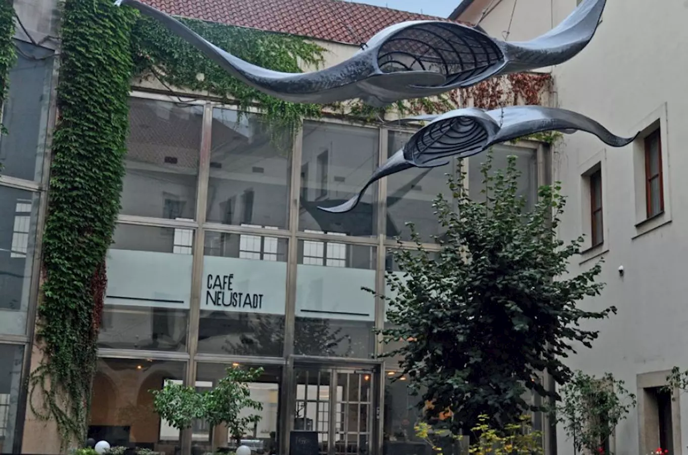Prosklená fasáda Café Neustadt s kovovými plastikami rejnoků nad vchodem a nápisem CAFÉ NEUSTADT