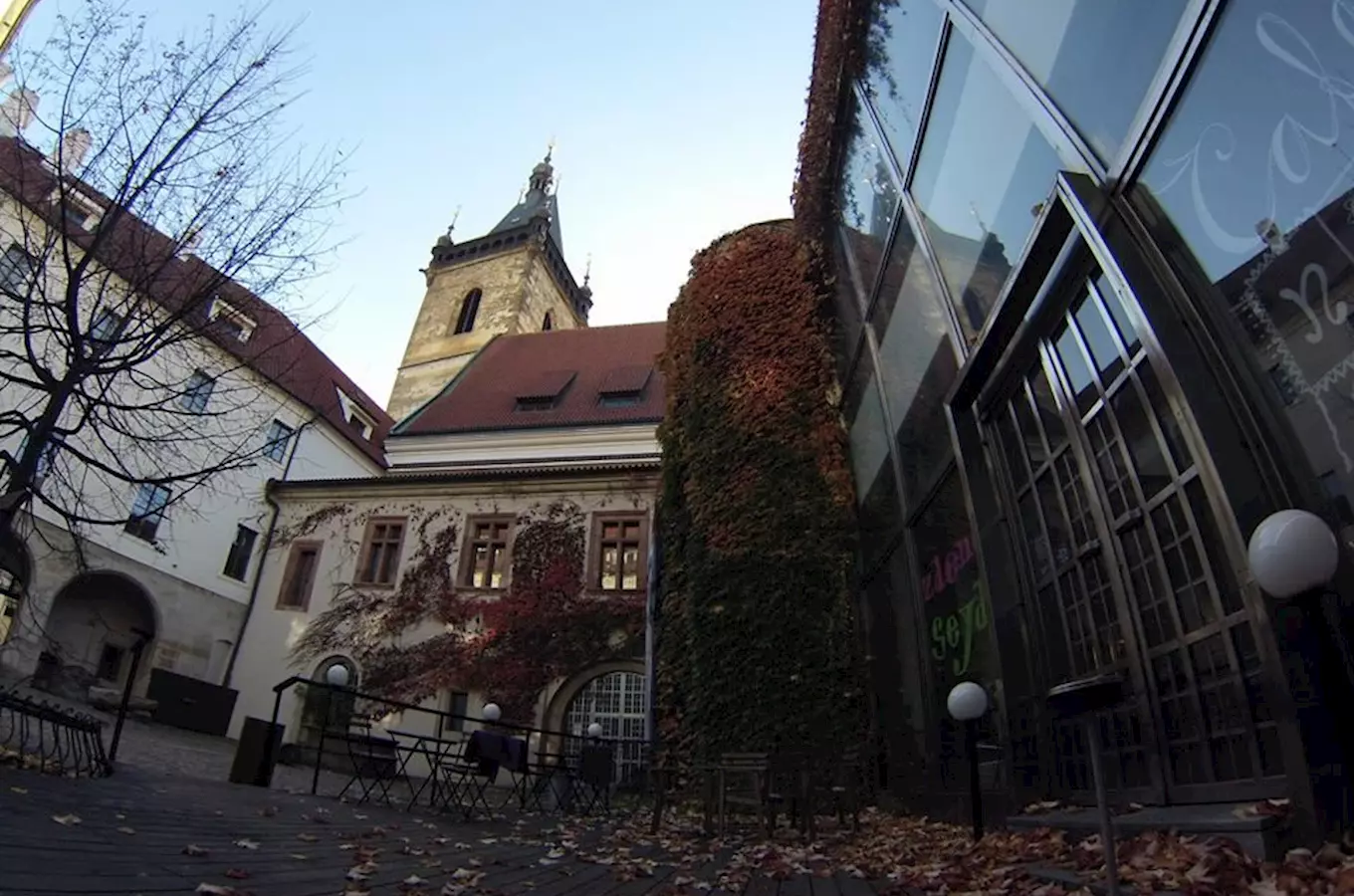 Věž Novoměstské radnice nad nádvořím, podzimní psí víno šplhající po prosklené fasádě kavárny